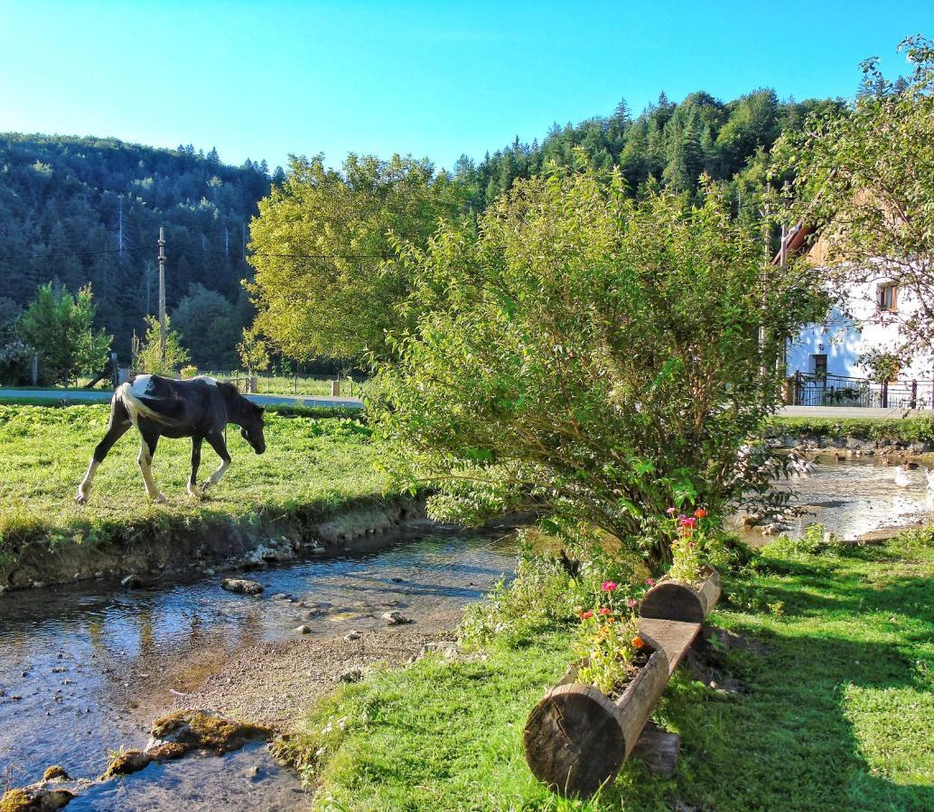 Guest House Koncar Plitvicki Ljeskovac Exterior photo